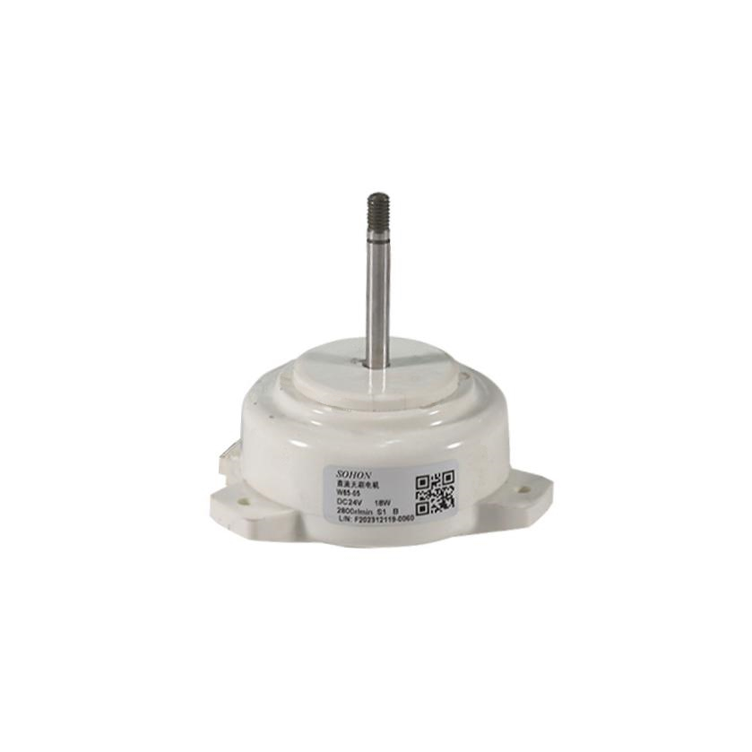 W65 - BLDC Motors