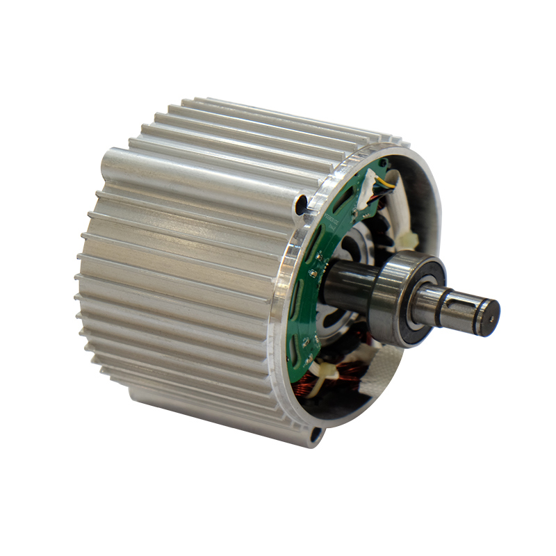 W100 - BLDC Motors